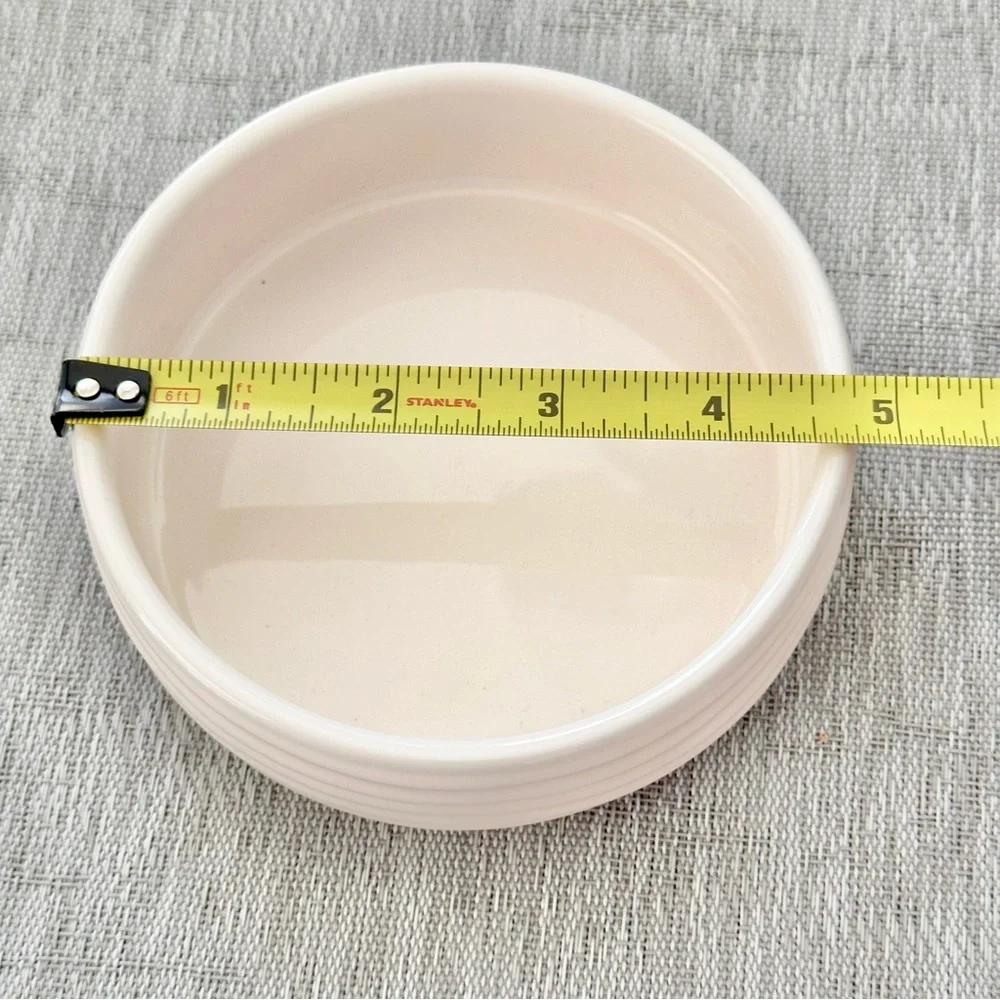 Rae Dunn FOOD Ceramic Small Pet Bowl BRAND NEW!!